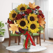 Atracción Irresistible, Rep. Dominicana, Rep. Dominicana