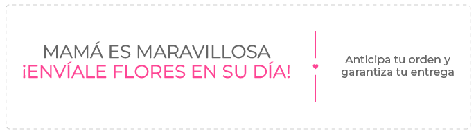 Oferta en Rep. Dominicana