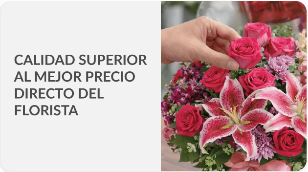 Envía a todo Rep. Dominicana