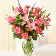 La Belleza Del Mundo, Rep. Dominicana, Rep. Dominicana