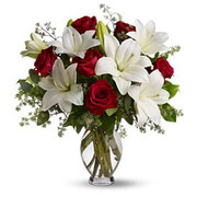 Perfect Match OFERTA!, Rep. Dominicana, Rep. Dominicana