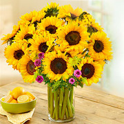 Energía Positiva, Rep. Dominicana, Rep. Dominicana