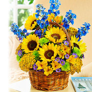 Regalo de Luz, Rep. Dominicana, Rep. Dominicana