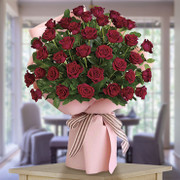 Almas Sonrientes OFERTA!, Rep. Dominicana, Rep. Dominicana